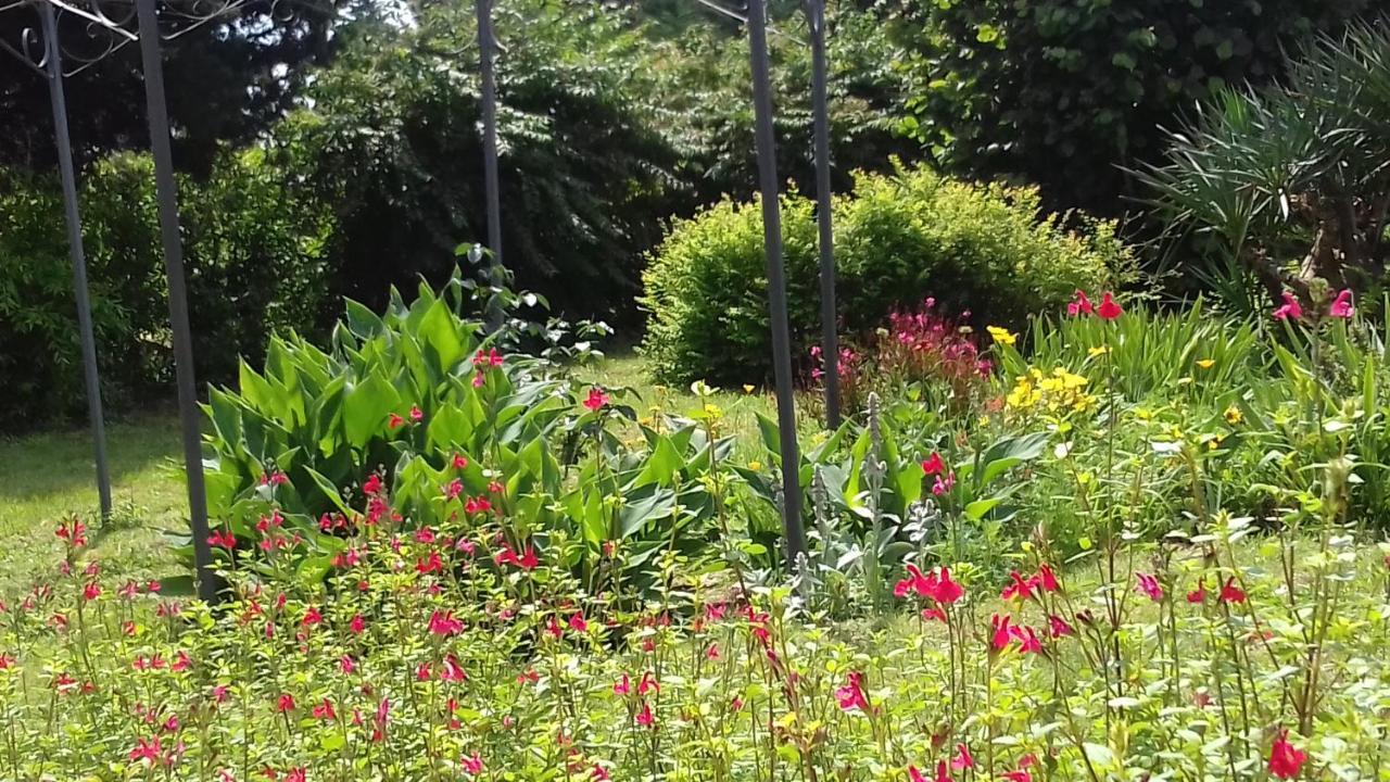 La Madeleine Bed & Breakfast Pezens Exterior photo